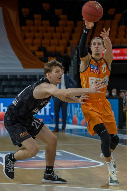 的多样化特 的多样化特